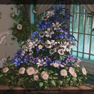 月光花 | StudioXIV