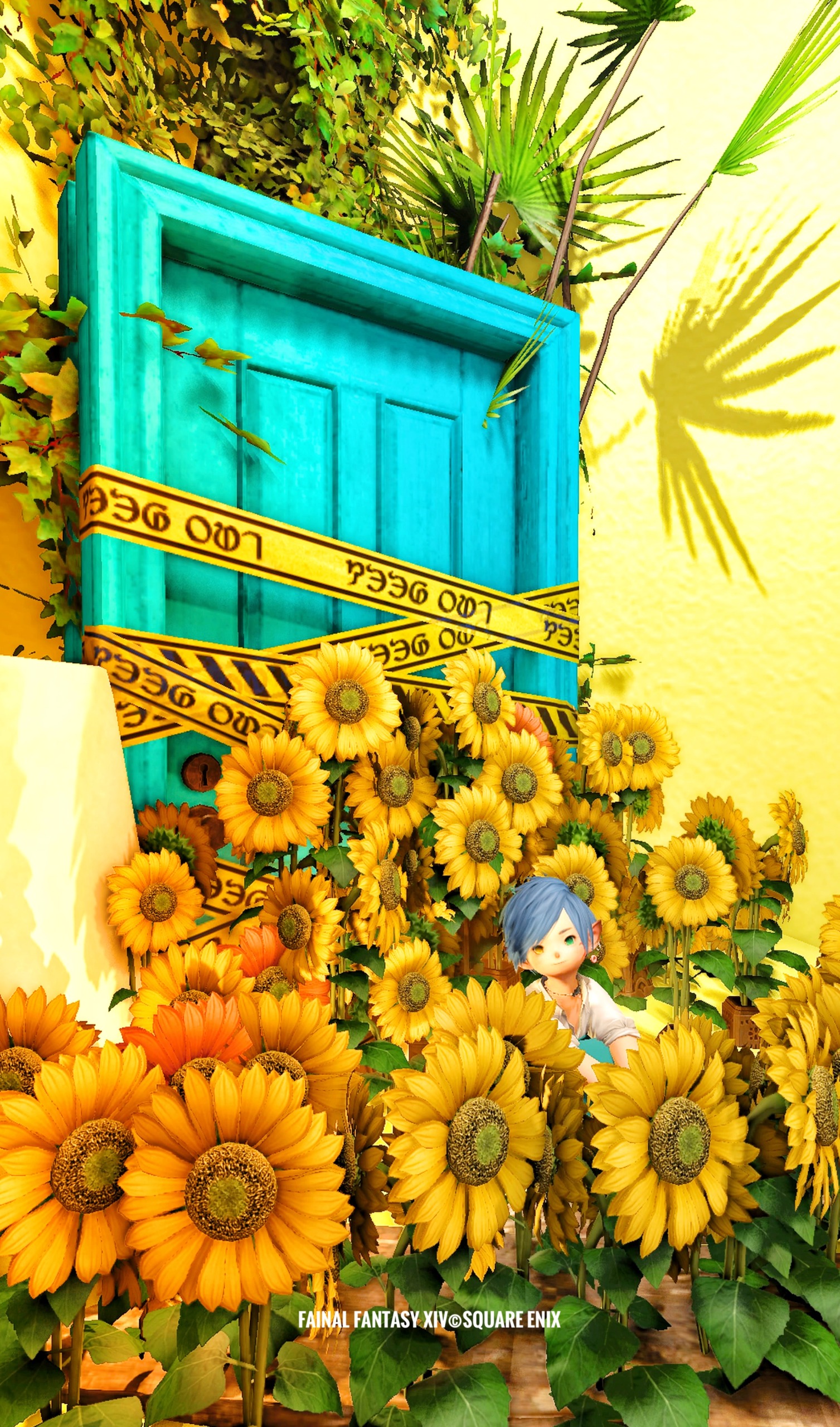 ひまわりの秘密 | StudioXIV